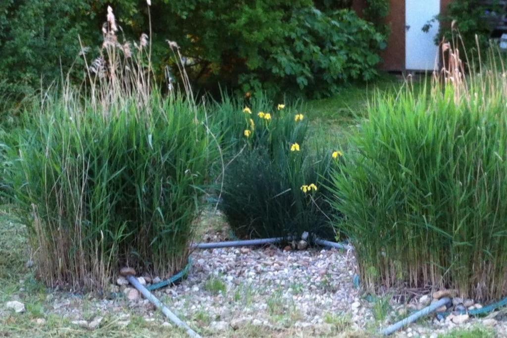 Appartement Neuf & Ecologique A La Campagne Marzens Extérieur photo